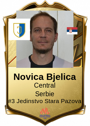 Novica Bjelica
