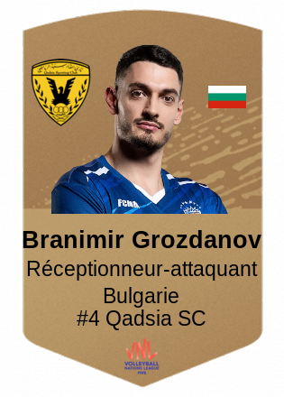 Branimir Grozdanov