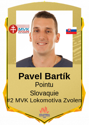 Pavel Bartík