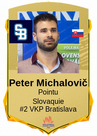 Peter Michalovič
