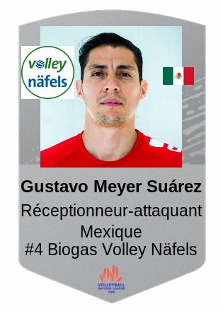 Gustavo Meyer Suárez