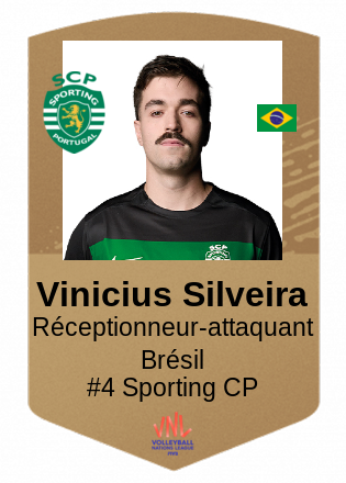 Vinicius Silveira