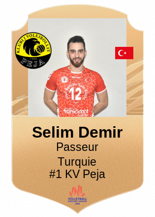 Selim Demir