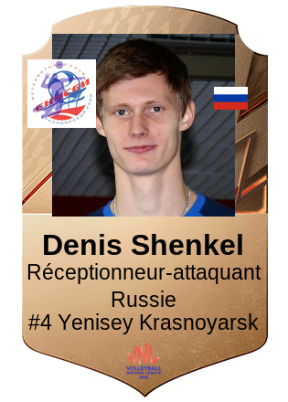 Denis Shenkel
