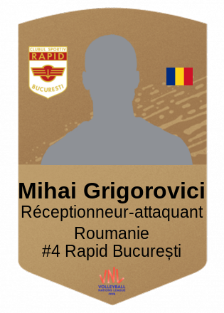 Mihai Grigorovici