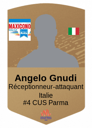 Angelo Gnudi