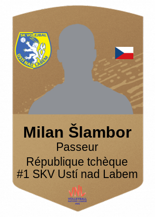 Milan Šlambor