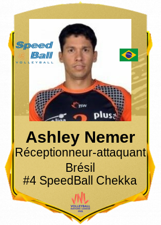 Ashley Nemer