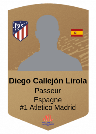 Diego Callejón Lirola