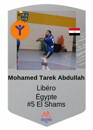 Mohamed Tarek Abdullah