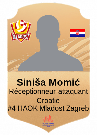 Siniša Momić