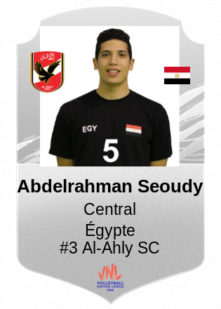 Abdelrahman Seoudy