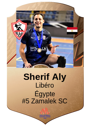 Sherif Aly