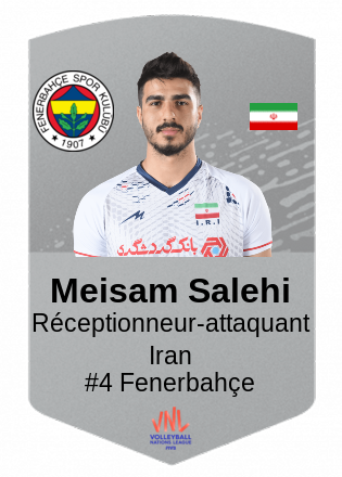 Meisam Salehi