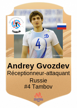 Andrey Gvozdev