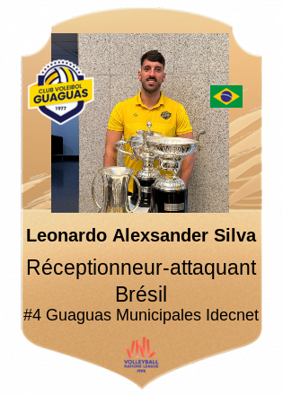 Leonardo Alexsander Silva