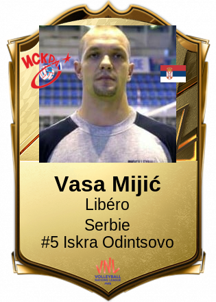 Vasa Mijić