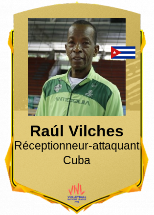 Raúl Vilches