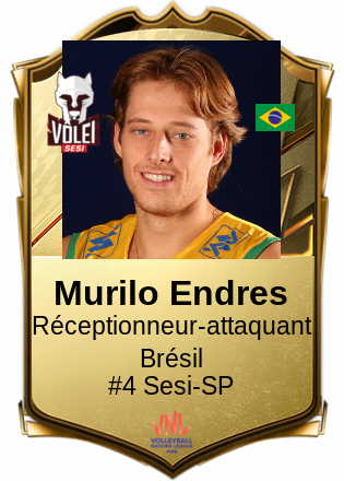 Murilo Endres