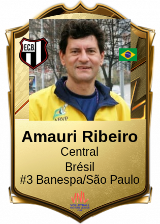 Amauri Ribeiro