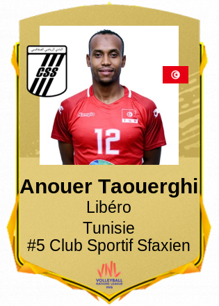 Anouer Taouerghi