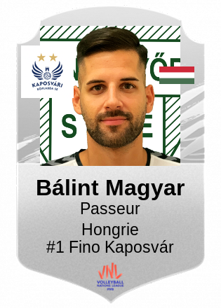 Bálint Magyar