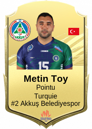 Metin Toy