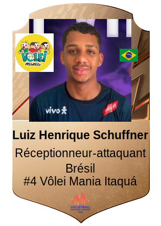 Luiz Henrique Schuffner