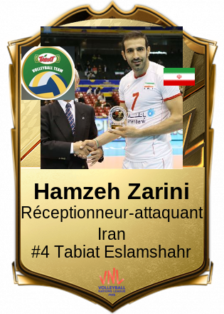 Hamzeh Zarini