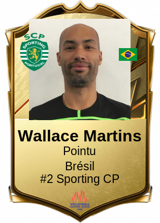 Wallace Martins