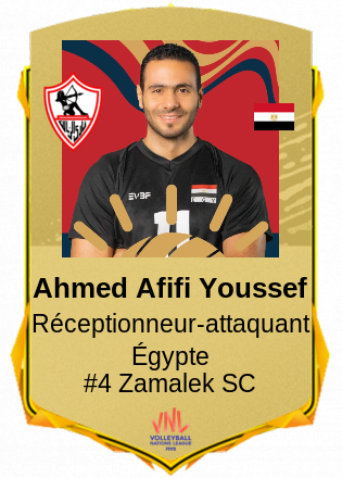 Ahmed Afifi Youssef