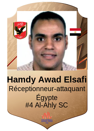 Hamdy Awad Elsafi