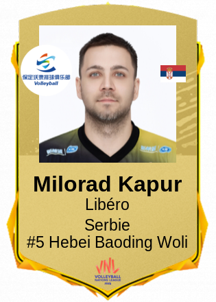 Milorad Kapur