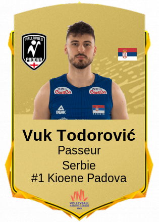 Vuk Todorović