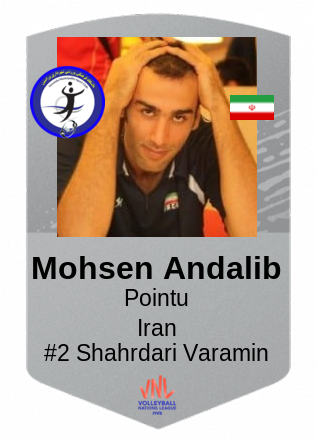 Mohsen Andalib