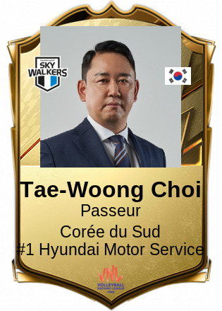 Tae-Woong Choi