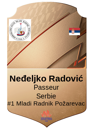 Neđeljko Radović