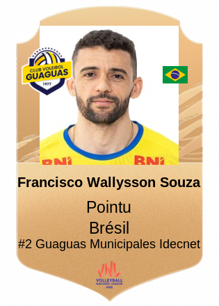 Francisco Wallysson Souza