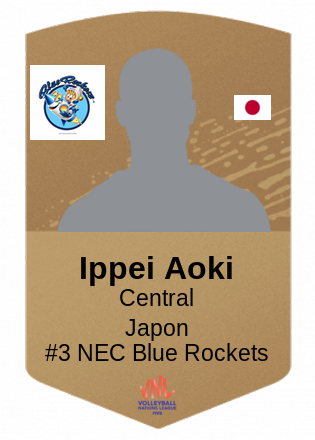 Ippei Aoki