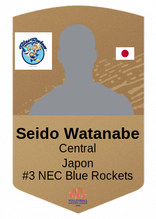 Seido Watanabe