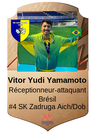 Vitor Yudi Yamamoto