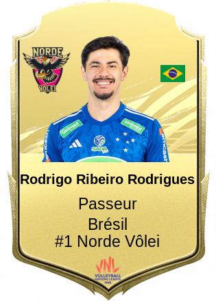 Rodrigo Ribeiro Rodrigues