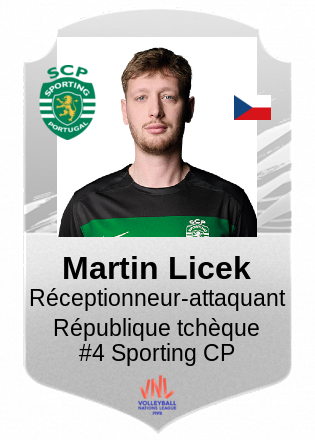 Martin Licek