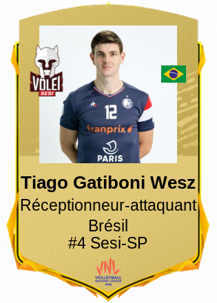 Tiago Gatiboni Wesz