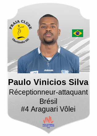 Paulo Vinicios Silva