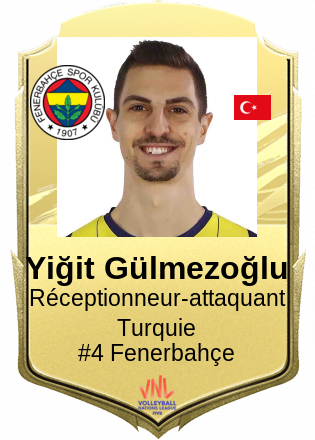 Yiğit Gülmezoğlu