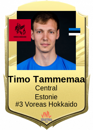 Timo Tammemaa