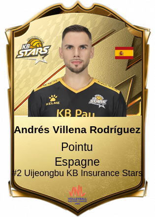 Andrés Villena Rodríguez