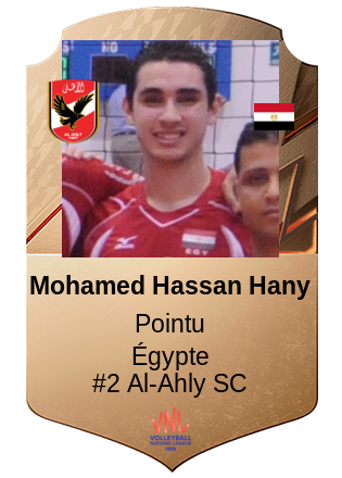 Mohamed Hassan Hany