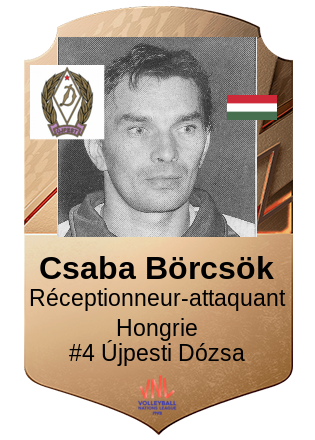 Csaba Börcsök